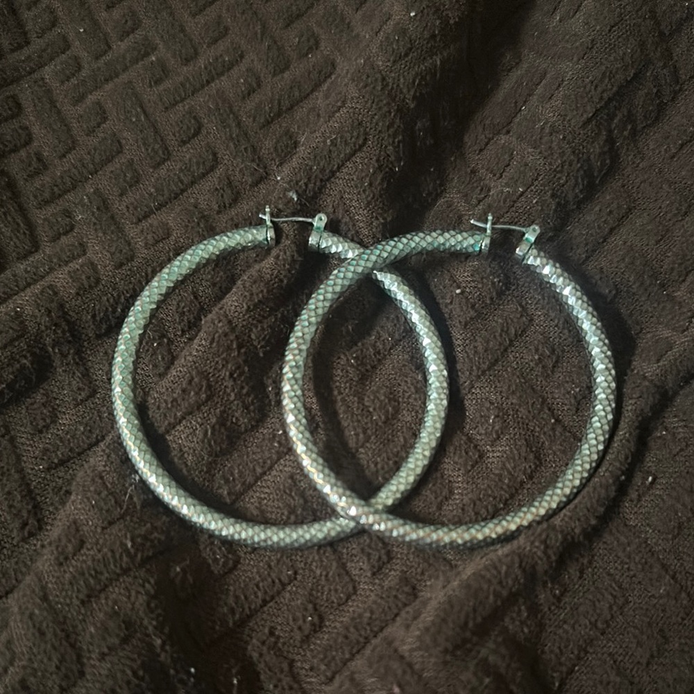 Silver Hoop Earrings